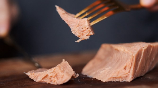 New School Foods plant-based salmon filet