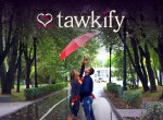Tawkify splash screen