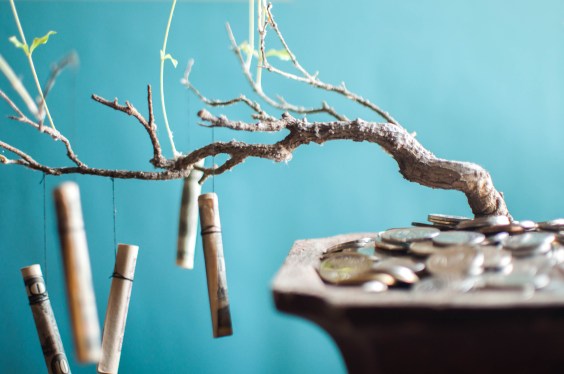 Coins and bills growing on bonsai tree