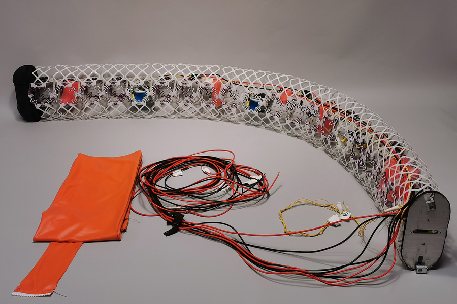 MIT eel robot