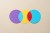 Paper Craft Multi Colored Venn Chart Composed of Three Crossing Circles on Beige Background Directly Above View.