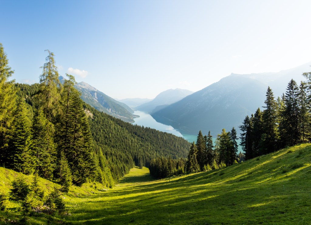 Green valley, grass, trees, mountains in the distance