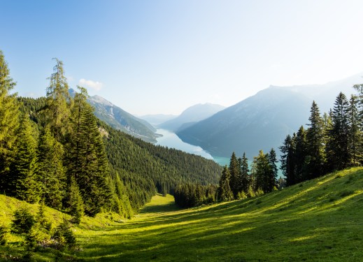 Green valley, grass, trees, mountains in the distance