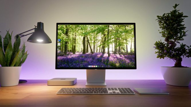 desktop computer flanked by a desk lamp and a potted plant