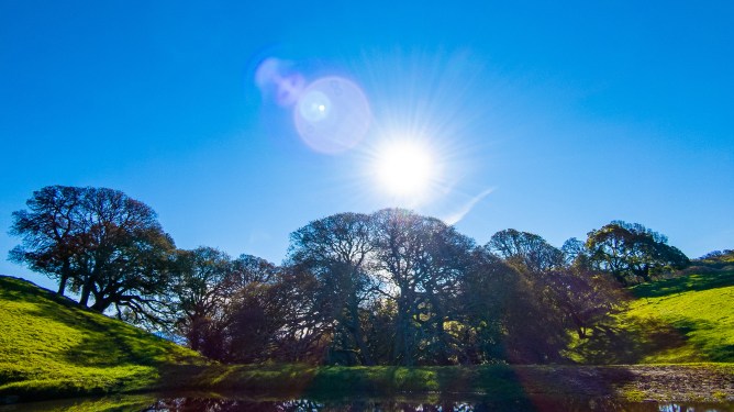 green rolling hills, lush trees, and a bright blue sky