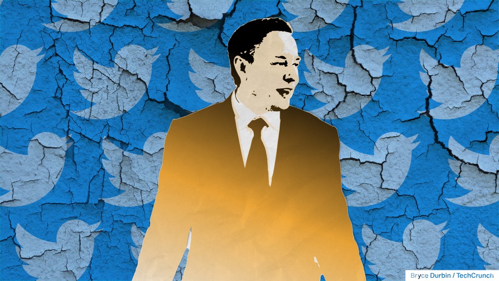 illustration of Elon Musk in front of cracked and peeling background of Twitter bird icons