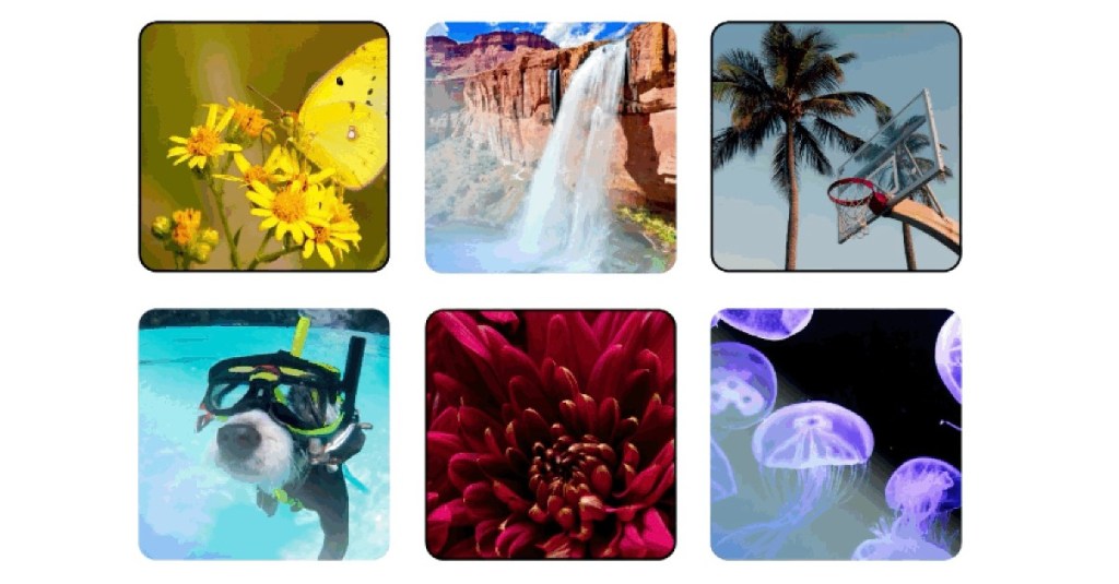 google images