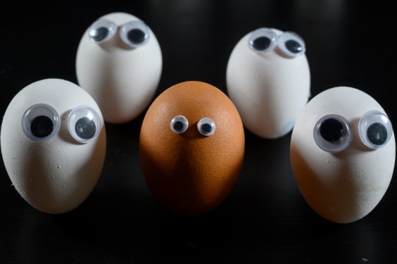 Brown face represented with an egg surrounded of white persons / eggs. Racism concept