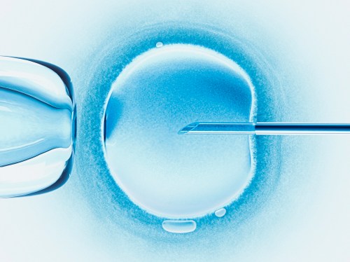 IVF concept art