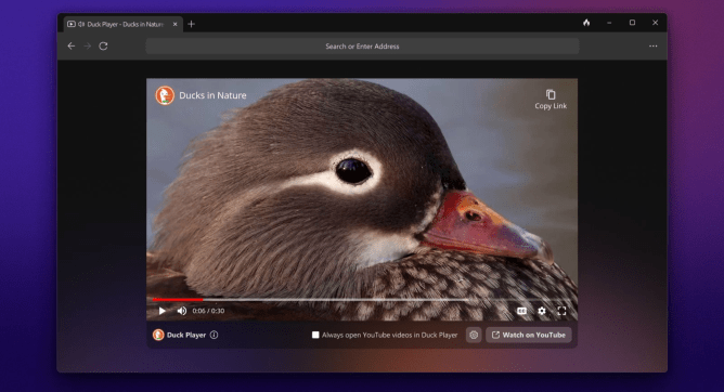An image of DuckDuckGo's browser on Windows
