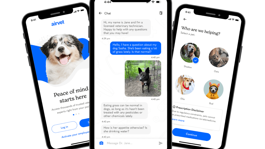 Airvet, pet telehealth