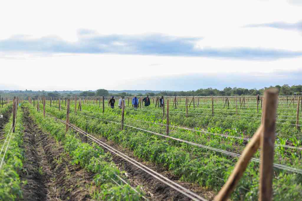 FarmWorks, a Kenyan agtech that provides farmers with access to farm inputs, and market for their produce, has raised $4.1 million pre-Series A funding