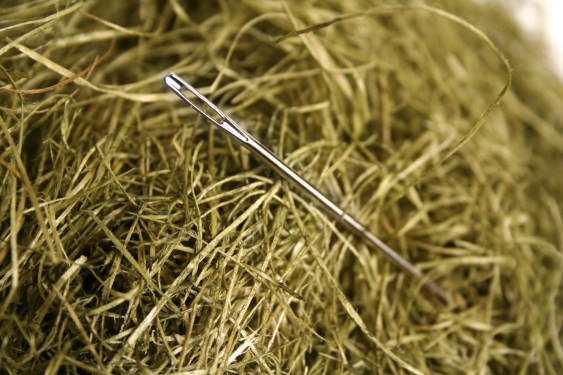 Literally, a needle in a haystack.