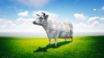 image of a cow made of money in a field