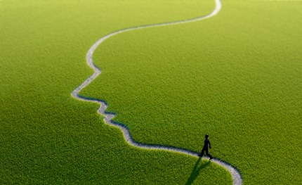 Human figure on a path in the shape of a face, computer artwork.