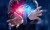 Man's hands around a light bulb split in two. One side represents AI as a platform, the other as a product.