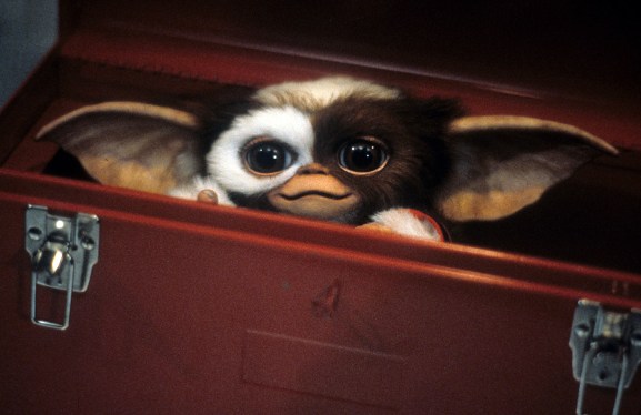 Cute little furry thingy hides in a tool box in a scene from the film 'Gremlins.'