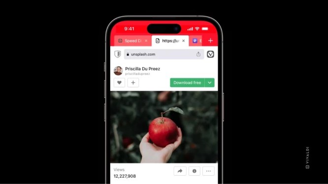 Vivaldi app on a smartphone screen