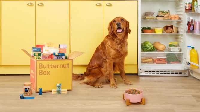dog sitting next to Butternut Box samples