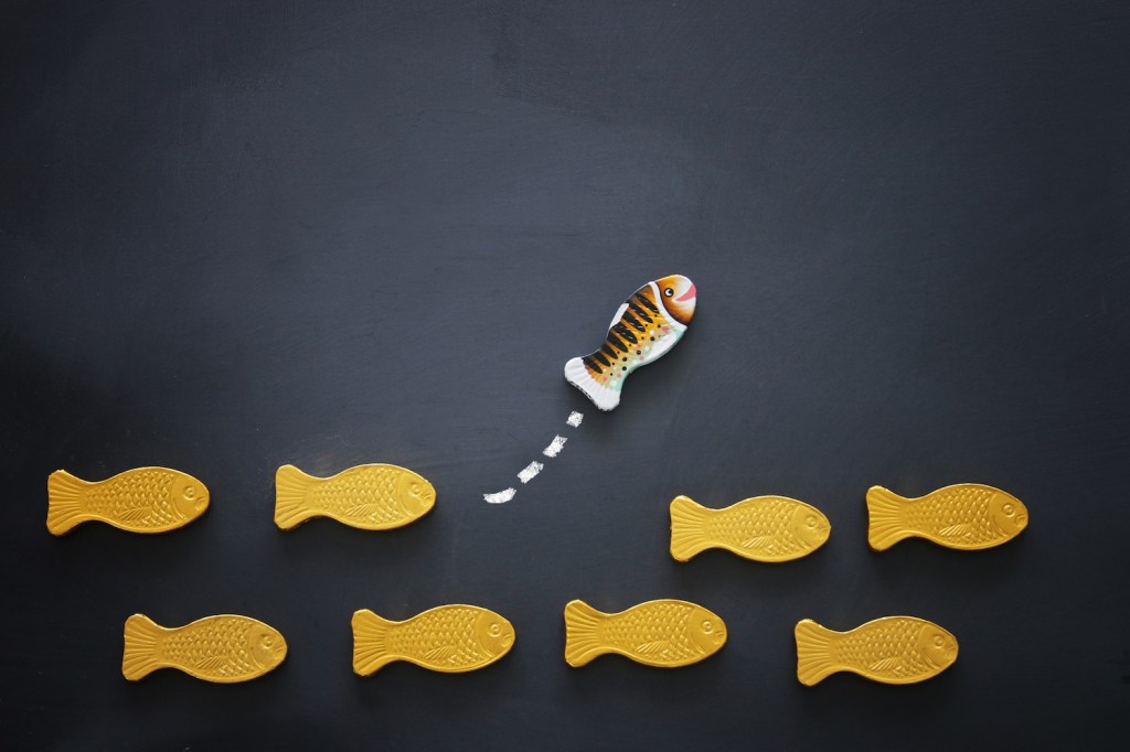 different fish swimming opposite way of identical ones. Courage and success concept. Blackboard background