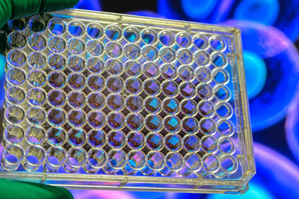 Cell culture research.