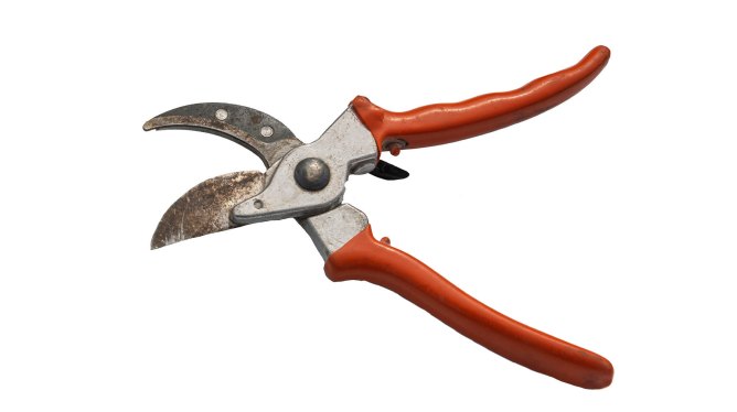 cutting shears with a red handle against a white background