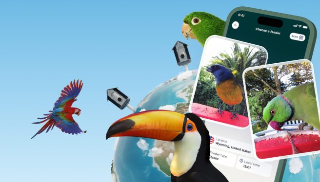 Bird Buddy Explore splash page