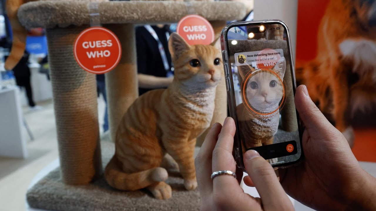 Petnow