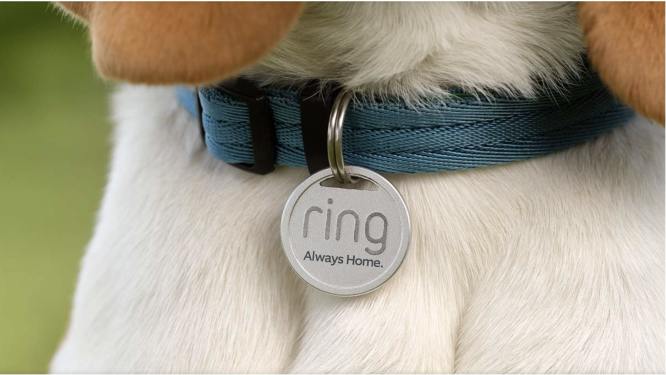 Ring's new Pet Tag