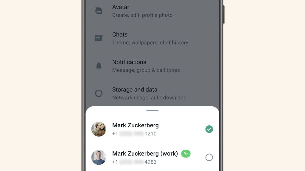 WhatsApp multiple accounts