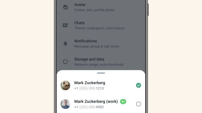 WhatsApp multiple accounts