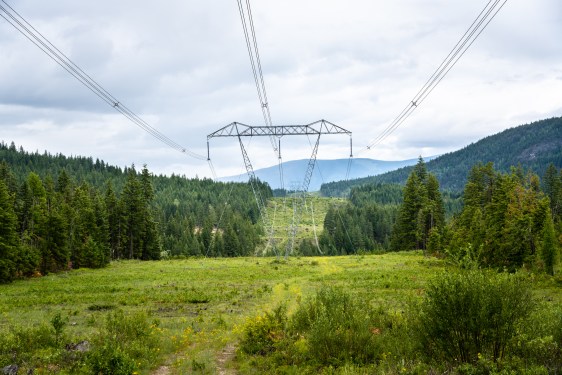 Power lines running through a forest in British Columbia, Canada.