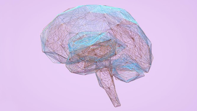 illustration of digital brain