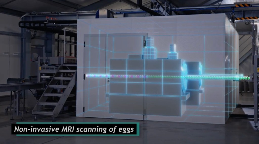 Orbem MRI scanner