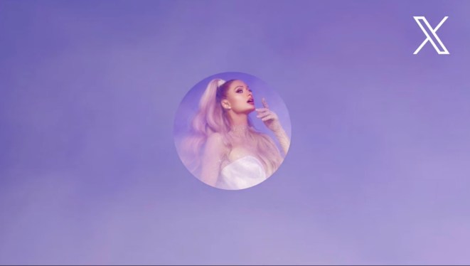 paris hilton x