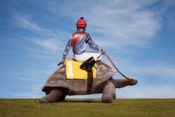 Jockey riding a turtle