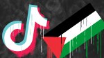 The TikTok logo beside a Palestinian flag