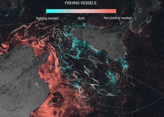 Global Fishing Watch