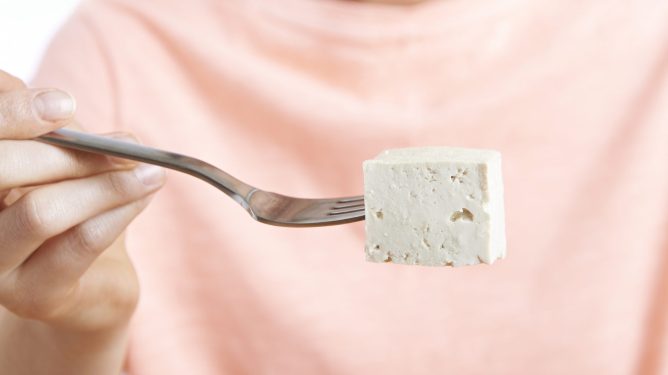 Tofu on fork