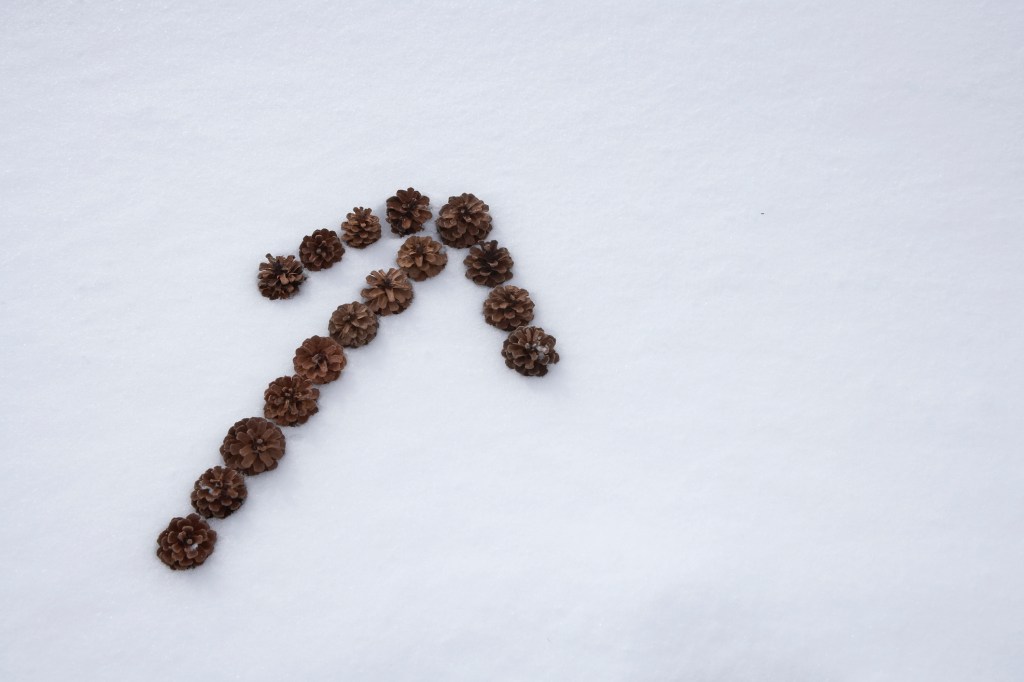 arrow sign made by pine cones