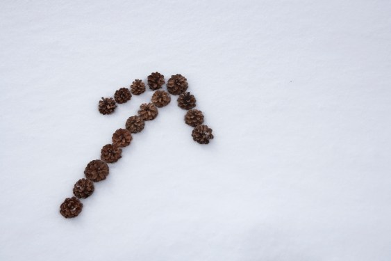 arrow sign made by pine cones