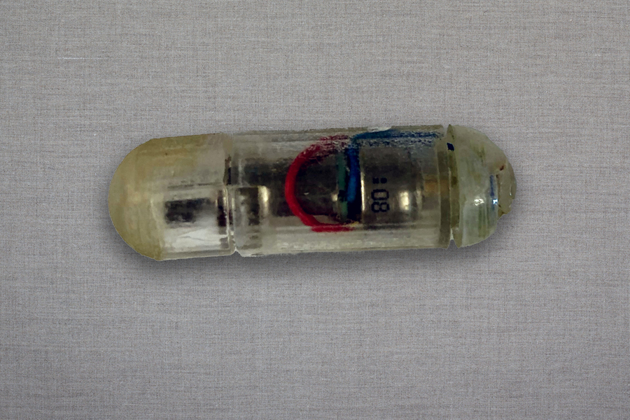 MIT obesity pill