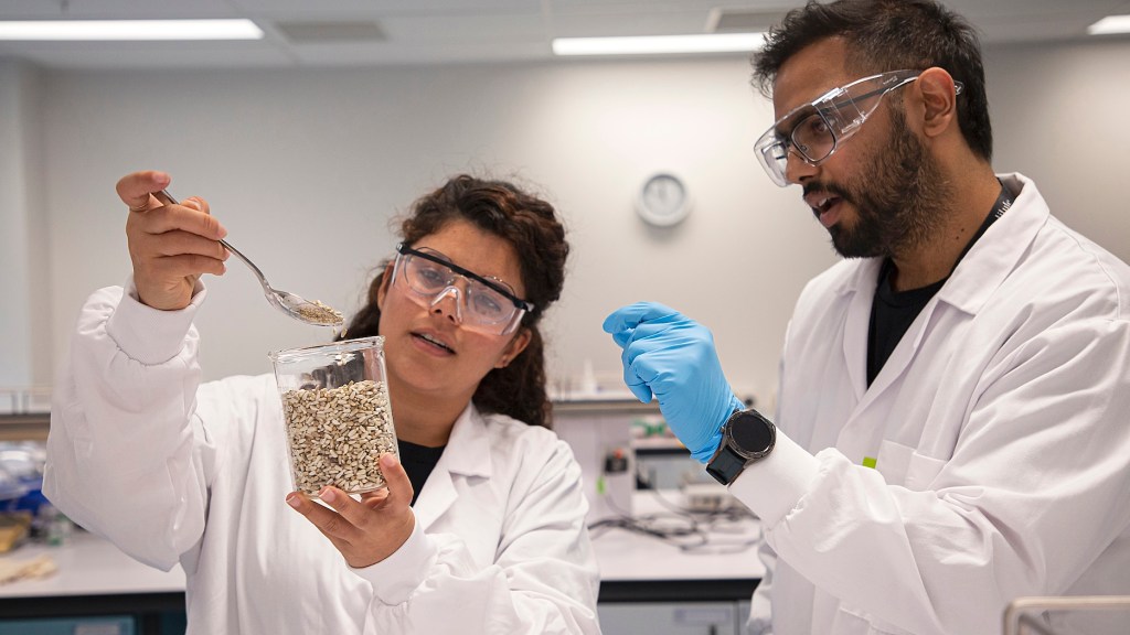 Miruku, plant-based dairy, safflower seeds