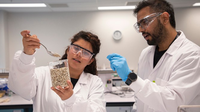 Miruku, plant-based dairy, safflower seeds