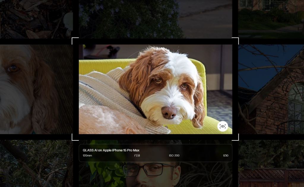 puppy picture taken with Glass AI