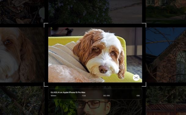 puppy picture taken with Glass AI