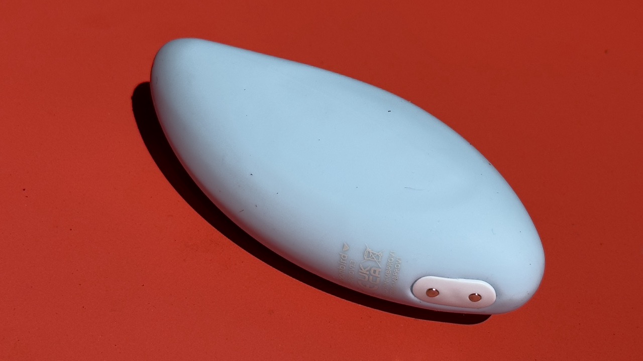 The Moonbird device in action