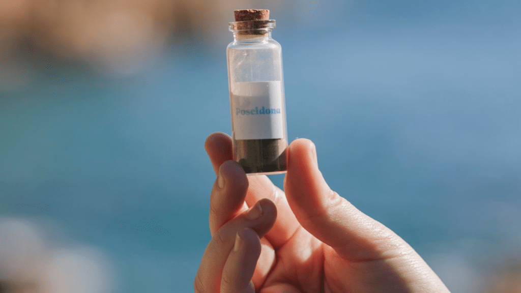 Poseidona, seaweed, soy protein alternative
