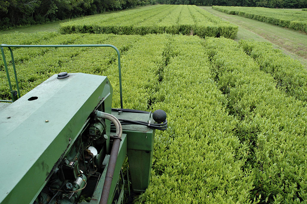 Seso, agtech, venture capital, startups