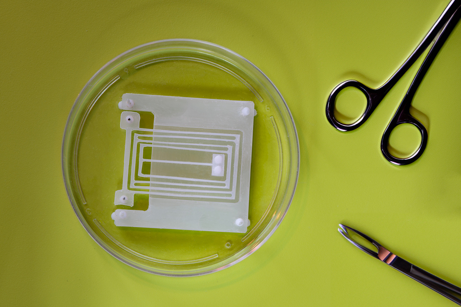 Petri dish with MIT Muscle Flex